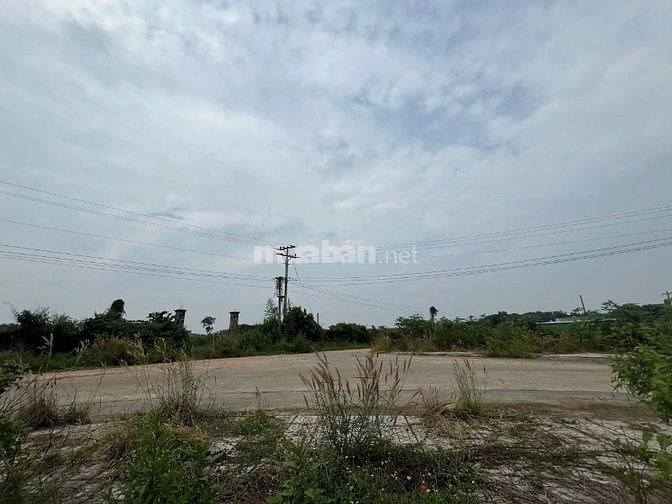 Công ty Đấu giá hợp danh Lam Sơn Sài Gòn THÔNG BÁO ĐẤU GIÁ TÀI SẢN