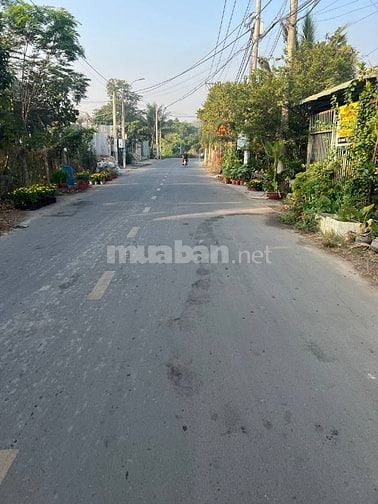Chính Chủ Bán Đất Thổ Cư đường Võ Thị Đầy Hóc Môn
