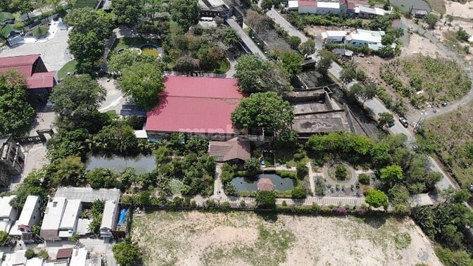 Bán Siêu Nhà Vườn Khu Nhà Dầu MT Đường Long Thuận)TP Thủ Đức