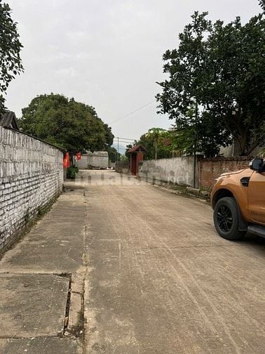 Mảnh HOA HẬU ĐẸP MÊ LY. Mua đất tặng nhà.