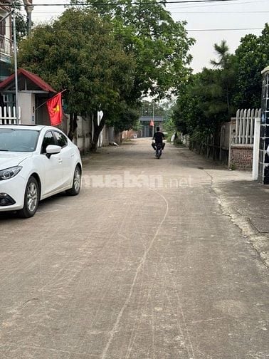 Mảnh HOA HẬU ĐẸP MÊ LY. Mua đất tặng nhà.