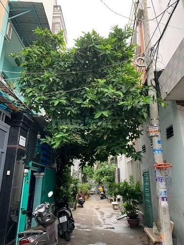 Chính chủ cho thuê nhà nguyên căn hẻm xe hơi - 1041 Trần Xuân Soạn Q7.