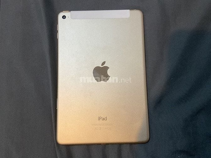 Người dùng bán ipad mini 4 wifi + 4G