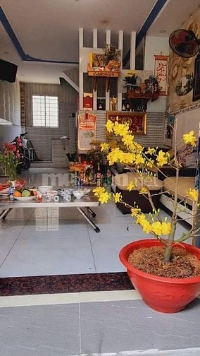 💧Nhà Đường số 1 , Tân Tạo A,  4x9