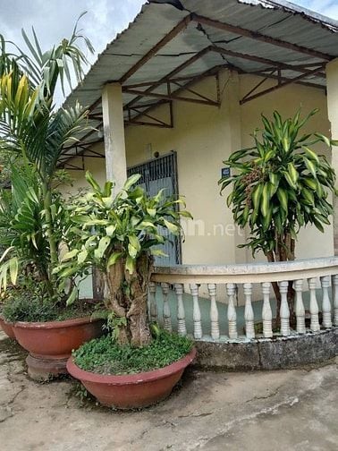 100m mặt tiền đường đinh công tráng sau 78 ben 35