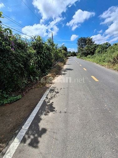 100m mặt tiền đường đinh công tráng sau 78 ben 35
