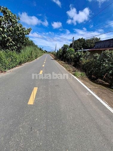100m mặt tiền đường đinh công tráng sau 78 ben 35