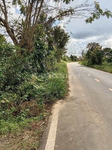 100m mặt tiền đường đinh công tráng sau 78 ben 35