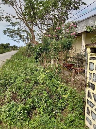 100m mặt tiền đường đinh công tráng sau 78 ben 35