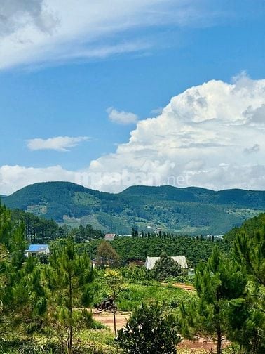 Bán đất Nam Hà 390 triệu, vị trí chính giữa sân bay và Đà Lạt