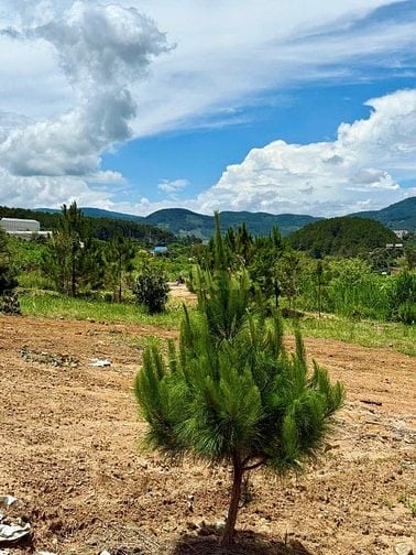 Bán đất Nam Hà 390 triệu, vị trí chính giữa sân bay và Đà Lạt