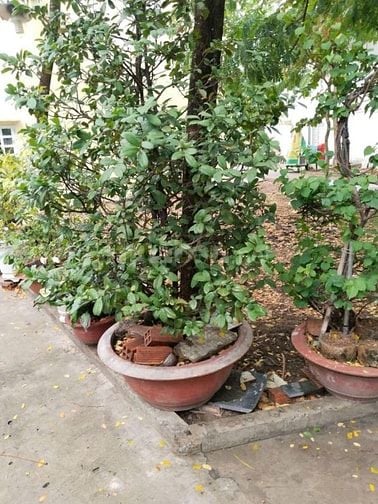 💧Oto đậu trong nhà , 2pn 2wc nhà khu Nam Hùng Vương 