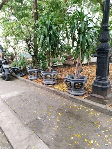 💧Oto đậu trong nhà , 2pn 2wc nhà khu Nam Hùng Vương 
