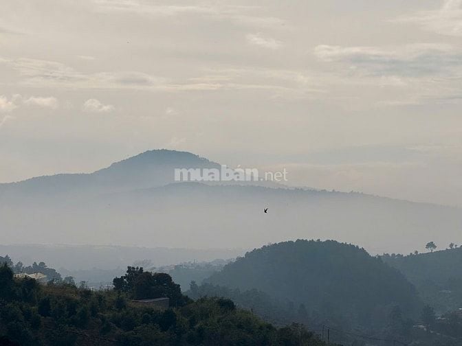 Bán đất Nam Hà 390 triệu, vị trí chính giữa sân bay và Đà Lạt