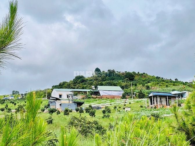 Bán đất Nam Hà 390 triệu, vị trí chính giữa sân bay và Đà Lạt