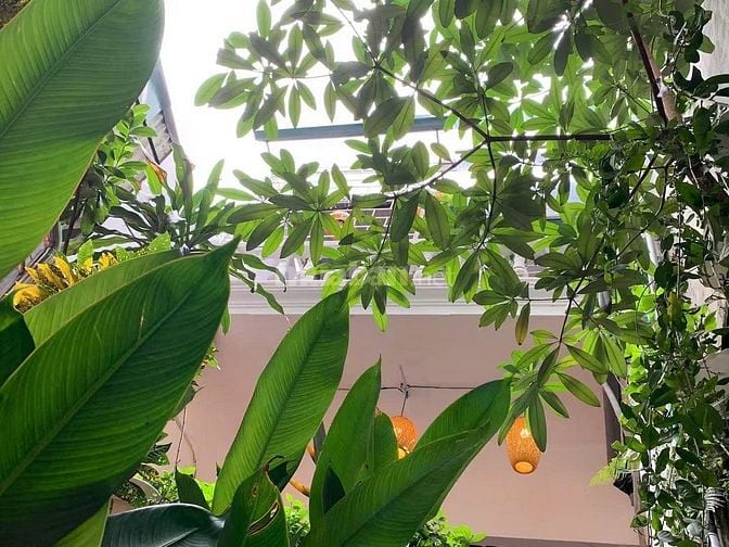 CẦN CHO THUÊ CĂN HỘ HOMESTAY 19 THỢ NHUỘM