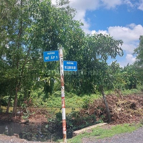 Đất mặt tiền nhựa 6m - 4/31 đường Đê Ấp 1, Tân Quý Tây