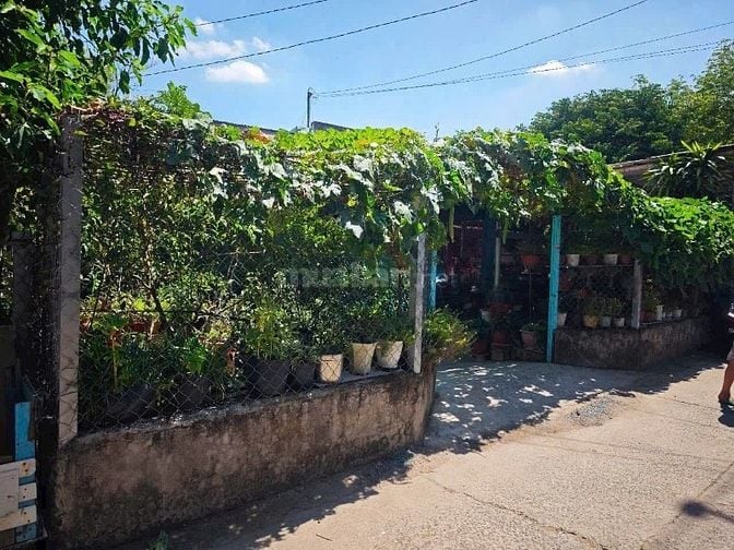 BÁN GẤP đất thổ Long Tân, Phú Thạnh Nhơn Trạch,vành đai 3,oto,giá rẻ