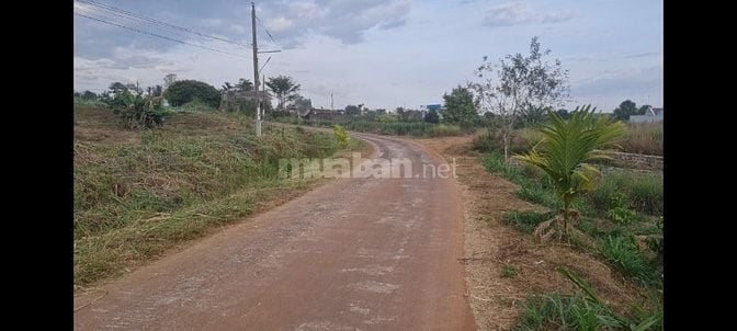 Bán đất tại xã Đan Phượng, Lâm Hà, Lâm Đồng. View thoáng mát.