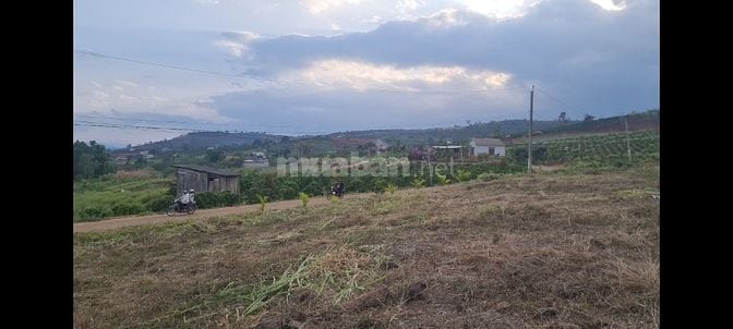 Bán đất tại xã Đan Phượng, Lâm Hà, Lâm Đồng. View thoáng mát.