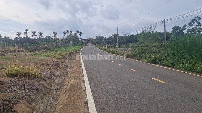 Bán đất tại xã Đan Phượng, Lâm Hà, Lâm Đồng. View thoáng mát.