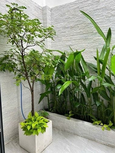 Gảm 1ty để xử lý NH,5x15m,Nguyễn Văn Đậu,Bình Thạnh,Full nội thất,8ty
