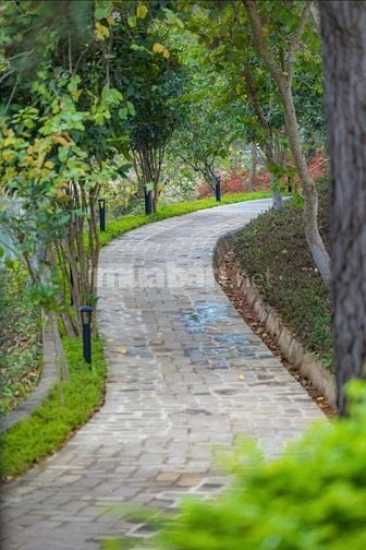 BÁN CĂN SONG LẬP NGOẠI GIAO DỰ ÁN THANH XUÂN VALLEY, GIÁ CHỈ TỪ 19 TỶ.