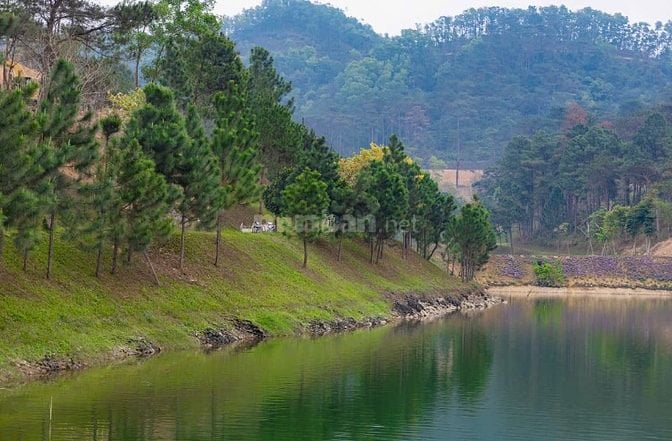 BÁN CĂN SONG LẬP NGOẠI GIAO DỰ ÁN THANH XUÂN VALLEY, GIÁ CHỈ TỪ 19 TỶ.