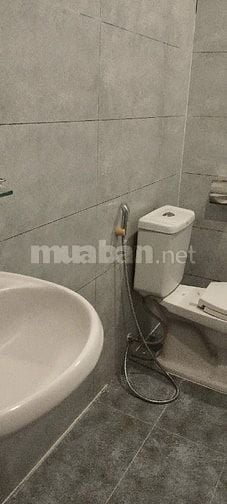 cho thuê nhà nguyên căn rất rộng đường cách mạng tháng 8-p11-q3-tphcm