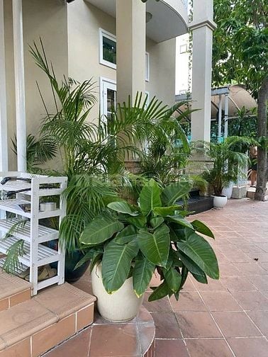 Cho thuê Biệt thự Nam Long có hồ bơi giá 130 triệu nhà đẹp VIP 