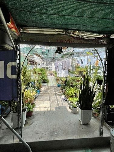 VIP ĐẶC BIỆT ! NHÀ BÁN MẶT TIỀN HẬU GIANG P12 Q6 (4X30,5) CHỈ 18 TỶ TL