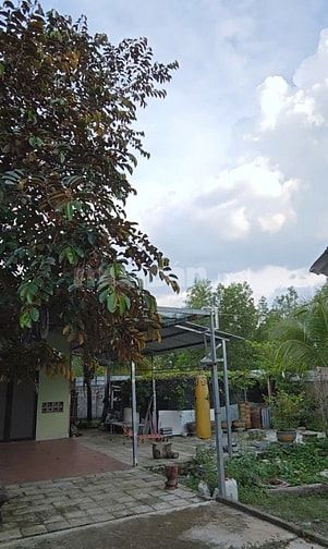 Nhà vườn giáp Biên Hòa Đồng Nai 519m2