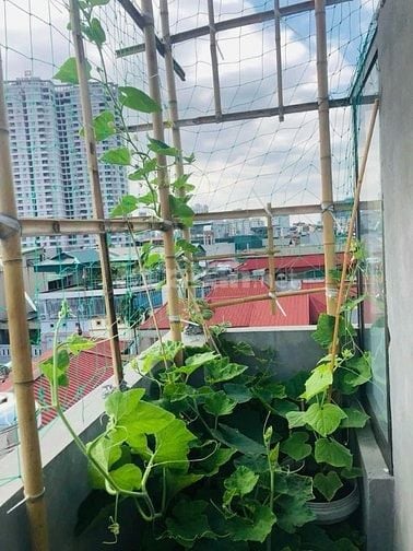 CHÍNH CHỦ CẦN B.Á.N Nhà phố NGUYỄN KHANG, HN 👉 7 Tầng - 54m2 