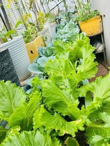 CHÍNH CHỦ CẦN B.Á.N Nhà phố NGUYỄN KHANG, HN 👉 7 Tầng - 54m2 