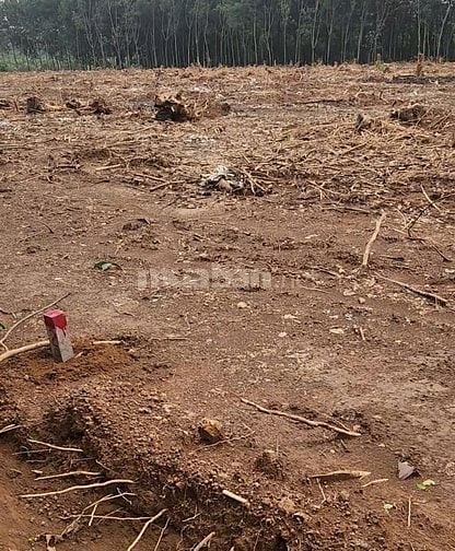 Bán đất ngay kcn 4.200ha, cách Đường 65m Đồng Phú Bình Dương chi 500m.