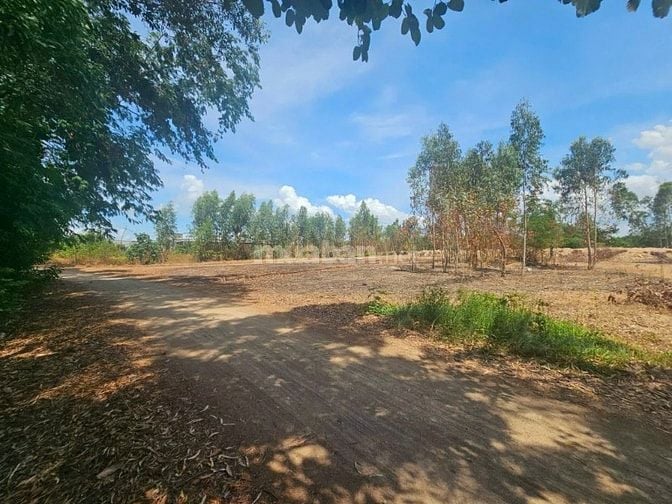 Công ty Đấu giá hợp danh Lam Sơn Sài Gòn THÔNG BÁO ĐẤU GIÁ TÀI SẢN