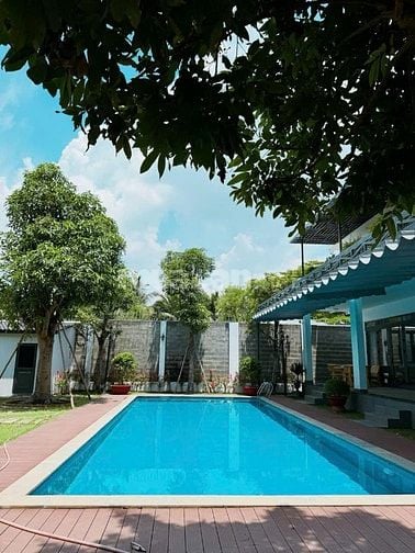 Siêu hiếm! 430m2 đất ở chính chủ lâu đời HXH ngay đường Quang Trung