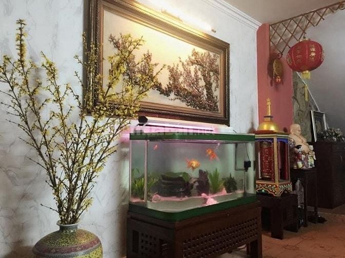 Bán nhà 73.5m2 ngõ 168/23 Hào Nam, Đống Đa, Hà Nội