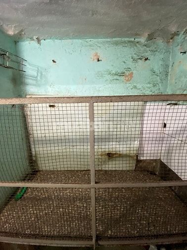 Tôi là chủ nhà, muốn cho thuê căn 308B, 25m2, 2 ngủ, nhà A2, Trung Tự 