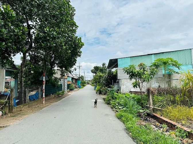 Bán đất tại Đường Mai Thị Buội, Xã Phước Vĩnh An, Củ Chi, 130 m2 giá s