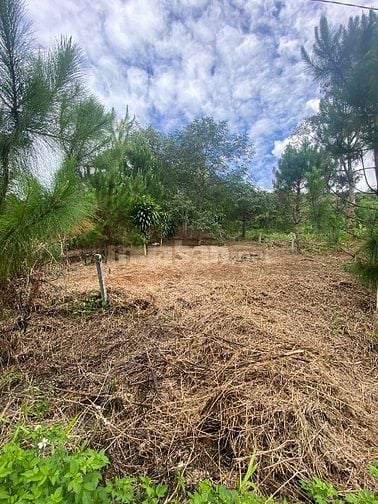 Chính chủ bán 522m2 sẵn 100m2 thổ cư tại thôn 10A Lộc Thành