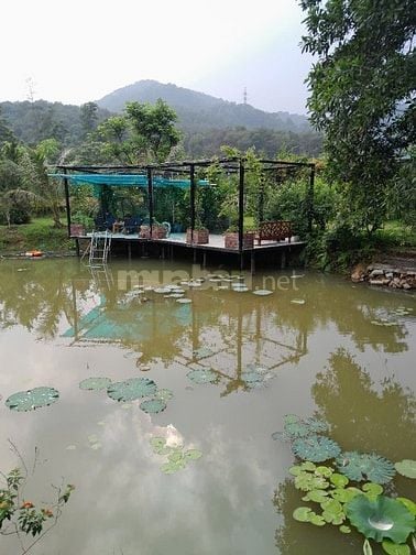 Bán Nhà Đất thôn  Thanh Sơn xã nam Sơn. Huyện Sóc Sơn 200 m2 mt 10 m