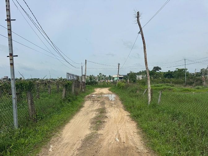 1,6 Sào Sổ Riêng Quy Hoạch Đất Ở,Tân Bình, Lagi Gần Biển