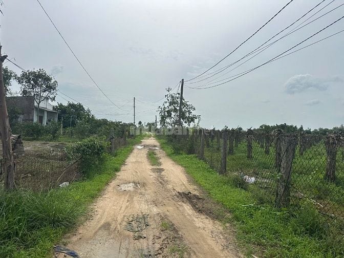 1,6 Sào Sổ Riêng Quy Hoạch Đất Ở,Tân Bình, Lagi Gần Biển