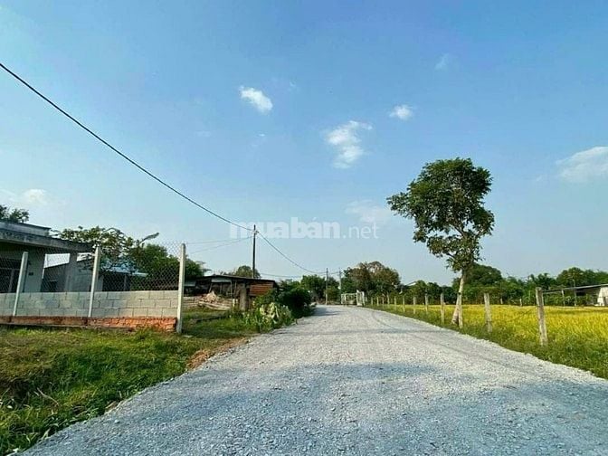 315m2 FULL THỔ 1 XẸT ĐƯỜNG SỐ 577 TRUNG LẬP HẠ CỦ CHI KDC HIỆN HỮU SHR