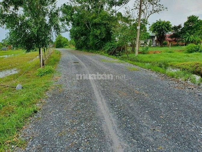 315m2 FULL THỔ 1 XẸT ĐƯỜNG SỐ 577 TRUNG LẬP HẠ CỦ CHI KDC HIỆN HỮU SHR