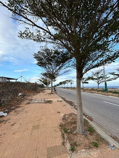 Đất View biển Sơn Hải mặt tiền đường quốc phòng