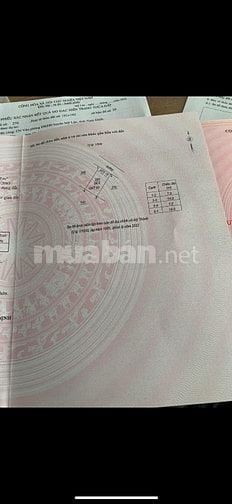 Bán đất 7x14m xã Mỹ Lôc tp Nam Định ngay đường 38B