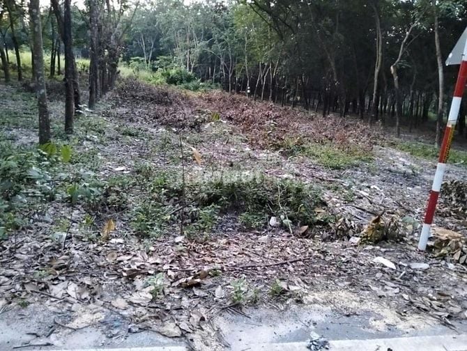 BÁN ĐẤT Ở 261M2 BÌNH PHƯỚC CHÍNH CHỦ