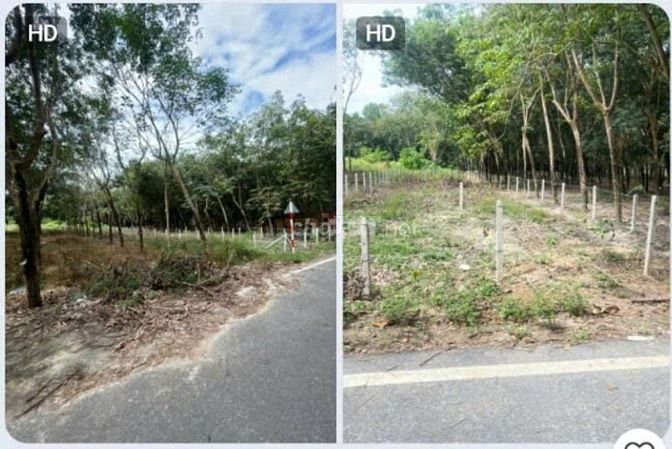 BÁN ĐẤT Ở 261M2 BÌNH PHƯỚC CHÍNH CHỦ